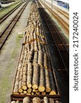 Cargo Timber Train