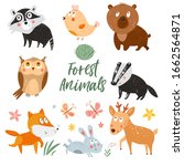 cute forest animals. vector... | Shutterstock .eps vector #1662564871