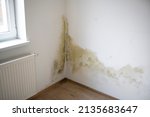 Strong mildew in large stains...