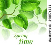 spring time illustration with... | Shutterstock .eps vector #348576881
