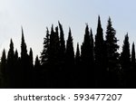 silhouette of a trees | Shutterstock . vector #593477207
