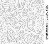 Topographic Map Seamless...