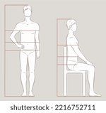 Men's Figure. Body Proportions...