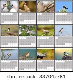 Garden Birds Calendar Year 2016 ...