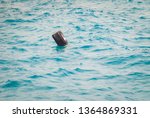 Small photo of Black plastic canister floats in the sea. Household waste, concept of lack of respect for the environment