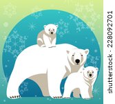 Greeting Card With Polar Bear...