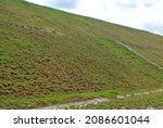 Permanent slope protection with grass using the hydroseed method. The grass is used to stabilizes the slope structure and prevent slope erosion. Effective and less maintenance. 