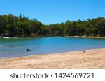 Small photo of Glen Mervyn Dam is 18km south of Collie , Western Australia and is a popular waterskiing,swimming and fishing spot in summer where camping is permitted on the western shore of the dam and dogs swim.