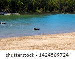 Small photo of Glen Mervyn Dam is 18km south of Collie , Western Australia and is a popular waterskiing,swimming and fishing spot in summer where camping is permitted on the western shore of the dam and dogs swim.