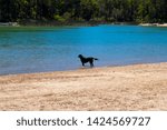 Small photo of Glen Mervyn Dam is 18km south of Collie , Western Australia and is a popular waterskiing,swimming and fishing spot in summer where camping is permitted on the western shore of the dam and dogs swim.