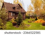 old rustic country house and autumn garden view. Bright hosta leaves, brown wooden lodge, natural style.