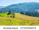 Small photo of mountainous countryside at high noon. beautiful rural scenery with trees and fields on the rolling hills at the foot of the ridge. nature and sustainability development concept