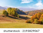 calm autumn morning in carpathian mountains. trees on the grassy hills. sunny autumn scenery of ukrainian countryside. beauty in nature concept