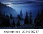 fir trees on meadow between hillsides with conifer forest in fog under the blue sky at night. spooky countryside scenery in full moon light
