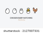 Chicken Baby Hatching Step By...