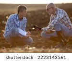 Small photo of Two mature farmers crouching in field in autumn time, holding clod of earth and checking soil quality
