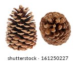Two Pine Cones Isolated On...
