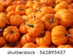 a lot of mini pumpkin at outdoor farmers market