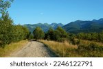 Small photo of Forestry road towards Fagaras Mountains in Southern Carpathians in Transylvania, Romania. Natural landscape with mountains range, forest, grassland and forestry grovel road .