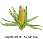 Single Corn Ear Decor Sign ...