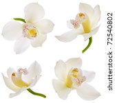 Collection Set Of White Orchid...