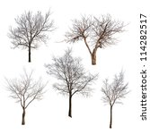 Set Of Trees Without Leaves...