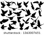 illustration with pigeon... | Shutterstock .eps vector #1363007651