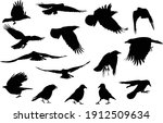 Illustration With Set Of Crow...