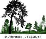 illustration with pine trees... | Shutterstock .eps vector #753818764