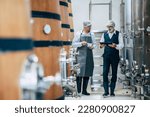 Small photo of Winemaker working in modern large winery factory liquor drink industry quality and fermentation monitor