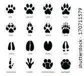 Paw Prints Free Stock Photo - Public Domain Pictures