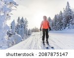Winter Skiing. Alpine ski woman going on skis wearing helmet, cool ski goggles and hardshell winter jacket and ski gloves. Skier doing downhill skiing by snow covered trees on ski trail.