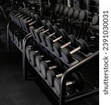Small photo of Dumbbell equipment in fitness gym, Black dumbbell set, Close up many metal dumbbells on rack in sport fitness gym center