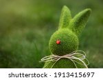 Close Up Easter Bunny Rabbit...