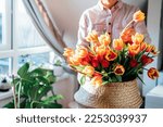 No face woman taking flower from bunch of fresh tulips in wicker basket at home. Making spring bouquet. Woman arranges bouquet of tulips at home. Flowers delivery. Soft selective focus. Copy space.