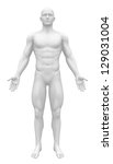 Blank Anatomy Figure   White...