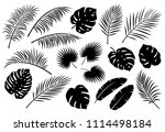 tropical jungle black palm... | Shutterstock . vector #1114498184