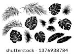 black tropical jungle isolated... | Shutterstock .eps vector #1376938784