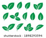 abstract eco green veined... | Shutterstock .eps vector #1898293594