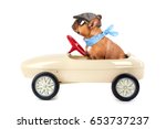 stock-photo-a-cute-brown-french-bulldog-with-glasses-on-riding-in-a-pedal-car-isolated-on-white-653737237.jpg