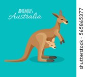 Australia Kangaroo Animal...