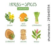 herbs and spices collection 5.... | Shutterstock .eps vector #293640554
