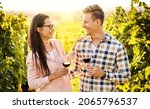 cheerful millennial caucasian... | Shutterstock . vector #2065796537