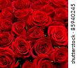 stock photo : many red roses shot in shallow DOF